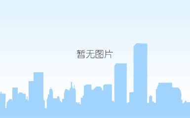 国外客户来访1